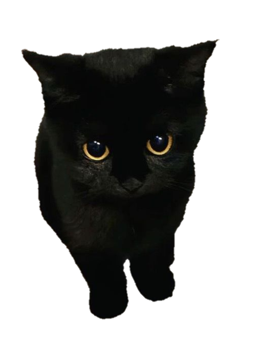 Meow